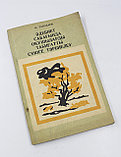 Танабаев. Әдебиет сабағында окушыларды табиғатты сүюге тәрбиелеу, фото 10