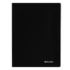 Папка 100 вкладышей BRAUBERG "Office", черная, 0,8 мм, 222641, фото 2