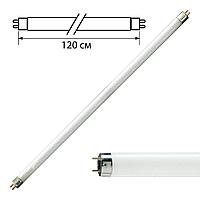 Лампа люминесцентная PHILIPS TL-D 36W/54-765, 36 Вт, цоколь G13, в виде трубки 120 см, холодный дневной свет,