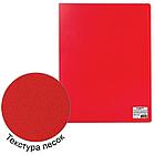 Папка 60 вкладышей STAFF, красная, 0,5 мм, 225706, фото 6