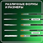 Кисти BRAUBERG, набор 5 шт. (синтетика, круглые № 1, 2, 5, плоские № 5, 8), блистер, 200219, фото 9