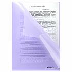 Папка-уголок ERICH KRAUSE "Diagonal Pastel", ассорти, 0,18 мм, 50170, фото 5