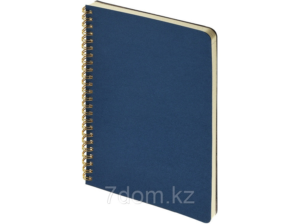 Бизнес тетрадь на гребне А5 Pragmatic, 60 листов в клетку, темно-синий, фото 1