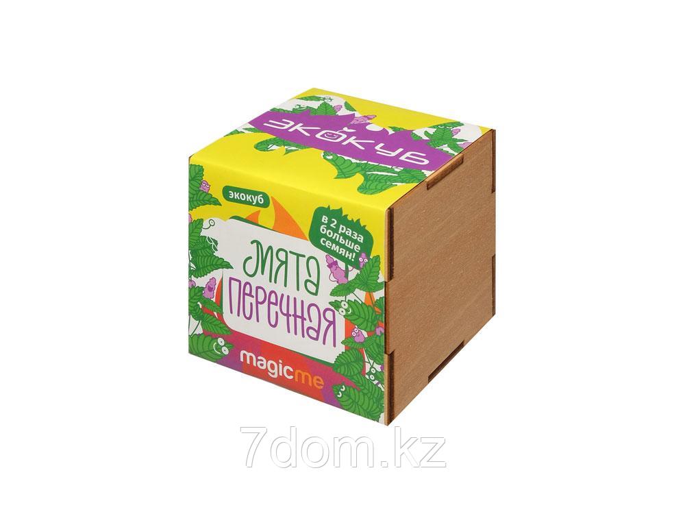 Набор для выращивания Экокуб Magicme Мята, фото 1
