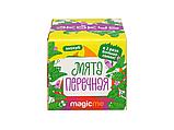 Набор для выращивания Экокуб Magicme Мята, фото 3