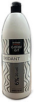 Оксидант PROSALON Color Art, 900 ml, фото 2
