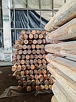 Оцилиндрованное бревно, порода лиственница 120