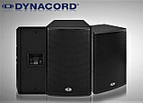 DYNACORD C15.2 Пассивная акустическая система, фото 4