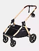 Коляска детская трансформер RANT basic "ROLLER GOLD", фото 7