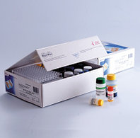 Вектор-Бест 0774 Набор реагентов для иммуноферментного выявления иммуноглобулинов классов G и М к