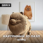 Картонный 3D конструктор Шпиц
