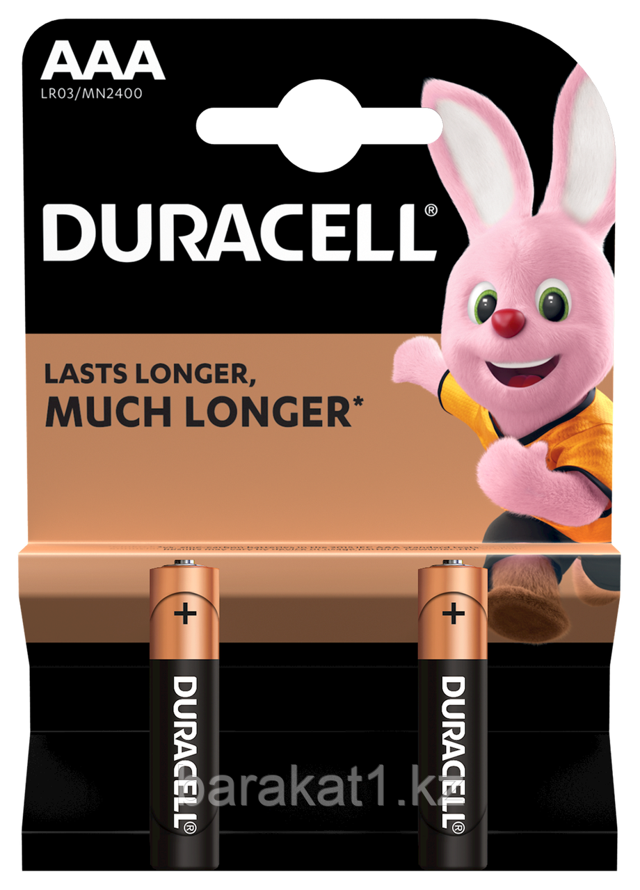 Батарейки Duracell ААА (2шт в упаковке)