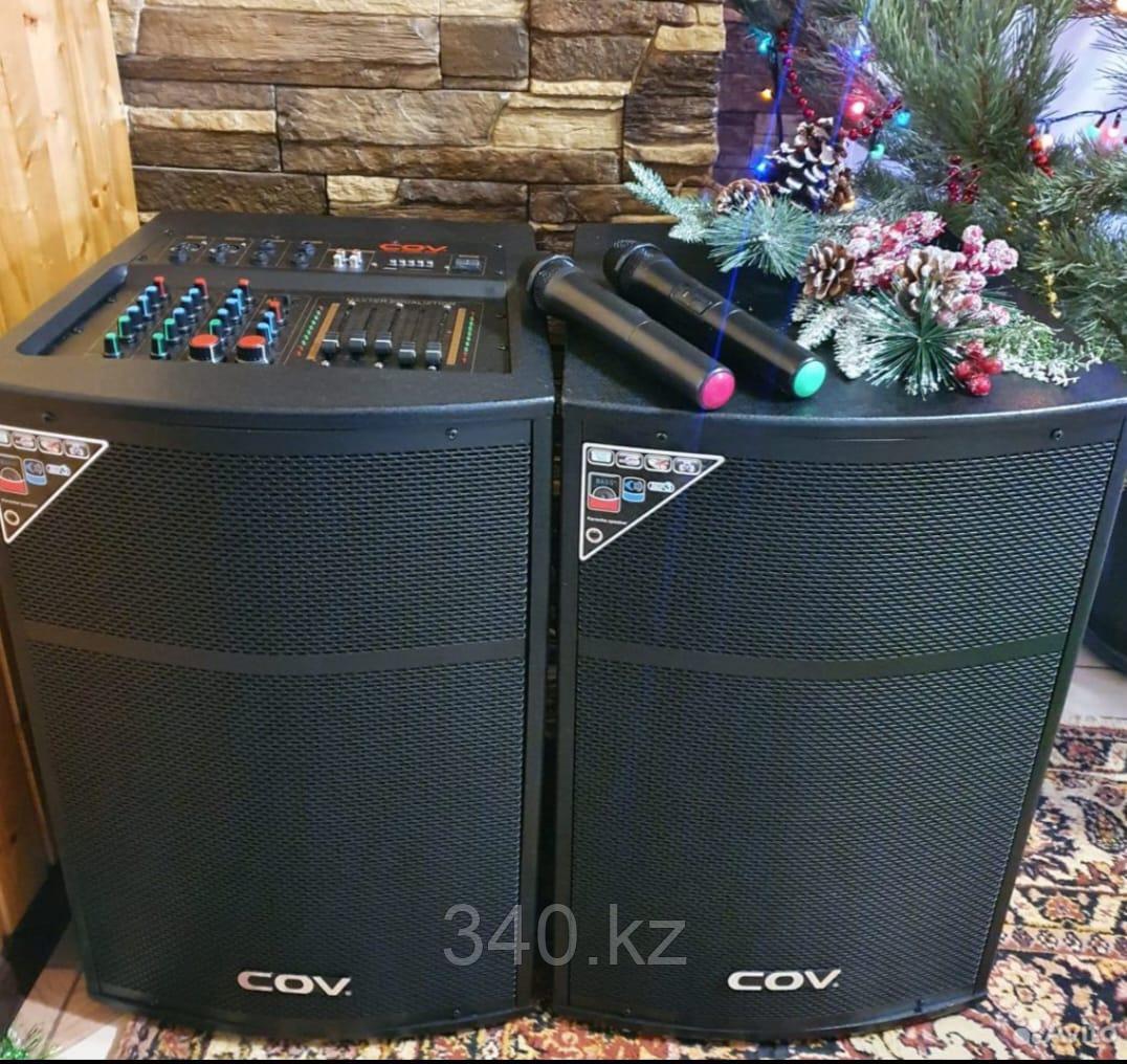 Акустические колонки SOL-CV-125 DRIVER 12''    Концертные— колонки., фото 1