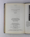 Мазин Александр. Викинг, фото 5