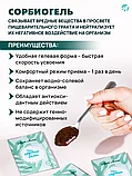 Сорбиогель, АртЛайф, 30 саше, фото 5