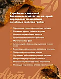 Granday Chaga Proactive (Грандей Чага Проактив) набор из 3 видов, Арт Лайф, фото 3