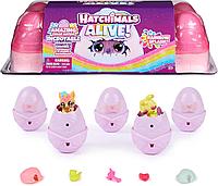 Hatchimals Alive мини-фигурками и 10 аксессуарами