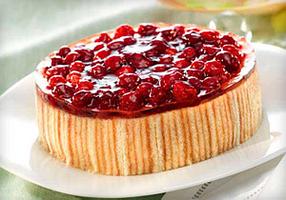 Смесь сухая Загуститель "Медея"