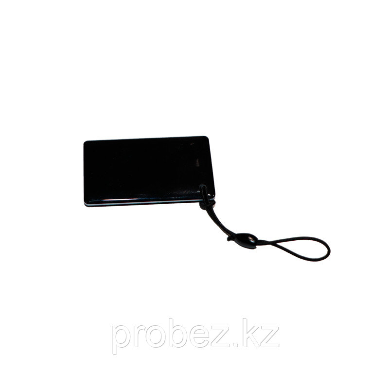 ACM-KEYFOB012-EM RFID-брелок из эпоксидной смолы, водонепроницаемый EM-Marine (черный)
