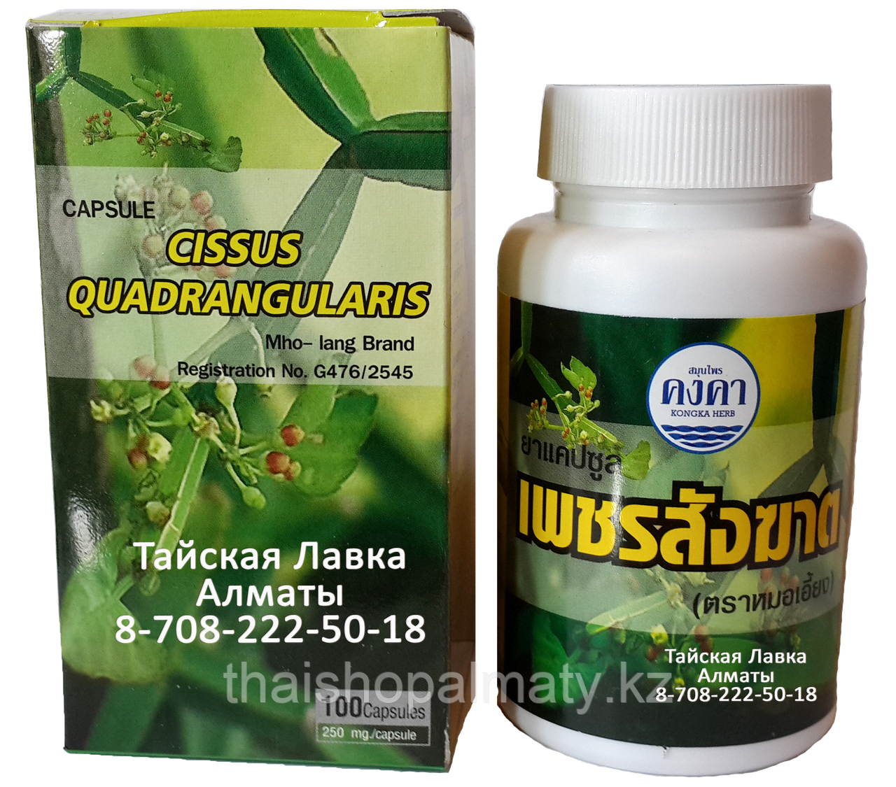 ПЕТ САНГ КАД - варикоз, геморрой, отеки, давление и др