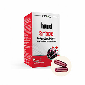 ORZAX Imunol Sambucus  ( Капсулы для укрепления иммунной системы у детей с цинком и витамином С ) 20 капсул