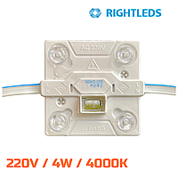 RIGHTLEDS Модуль 220 вольт / 4000К IP 54