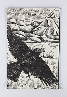 Жезөкшеліктің желідегі видеосы