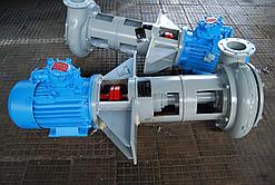 Агрегат электронасосный вертикальный шламовый ВШН