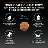 Pro Plan Adult Large Robust Sensitive Digestion, Про План для собак крупных пород с ягнёнком, уп.14кг., фото 4