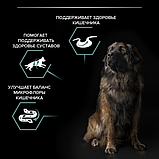 Pro Plan Adult Large Robust Sensitive Digestion, Про План для собак крупных пород с ягнёнком, уп.14кг., фото 5