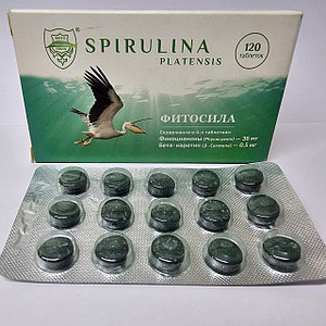 Порно барлығының алдында өзін берді Кеуделері үлкен бойжеткен трусисын шешіп, мысығын көрсетті (видео)