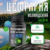 Цетрария исландская