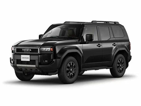 Доводчики дверей для Toyota Land Cruiser Prado 250