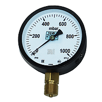 Манометр М12-1000