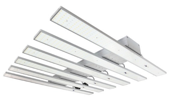 Win Light  Tusk 1000 W (Full Spectrum)