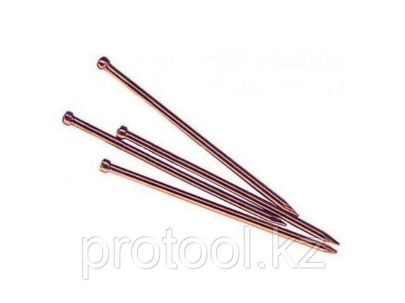 Гвозди финишные 1.4х30 мм медь (5 кг в карт. уп.) STARFIX (STARFIX) (SM-27902-5), фото 1