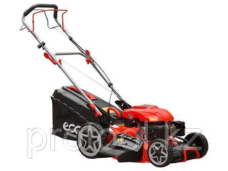 Газонокосилка бензиновая ECO LG-734 самоходная (5.5 л.с., шир. 51 см, самоходная, мульчир., стальн. корпус,, фото 1