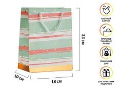 Пакет подарочный с ручками, 23х18х10 см., мятный, серия Emily, PERFECTO LINEA (PERFECTO LINEA) (47-231804)