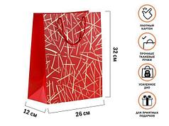 Пакет подарочный с ручками, 32х26х12 см., красный, серия Emma, PERFECTO LINEA (PERFECTO LINEA) (47-322603)