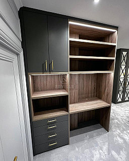 Шкаф в кабинет «Сент»