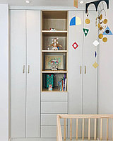 Шкаф в детскую «Тобо»