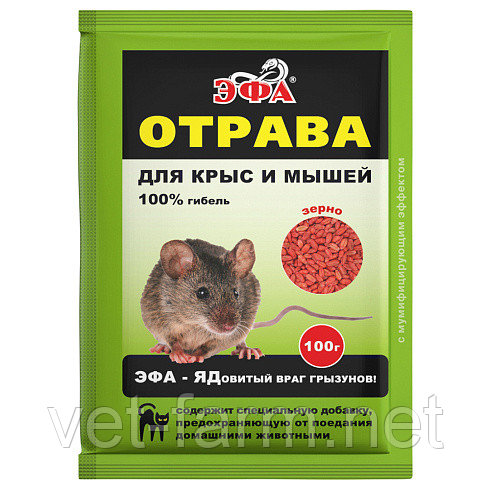 Эфа зерно (100 гр), фото 1