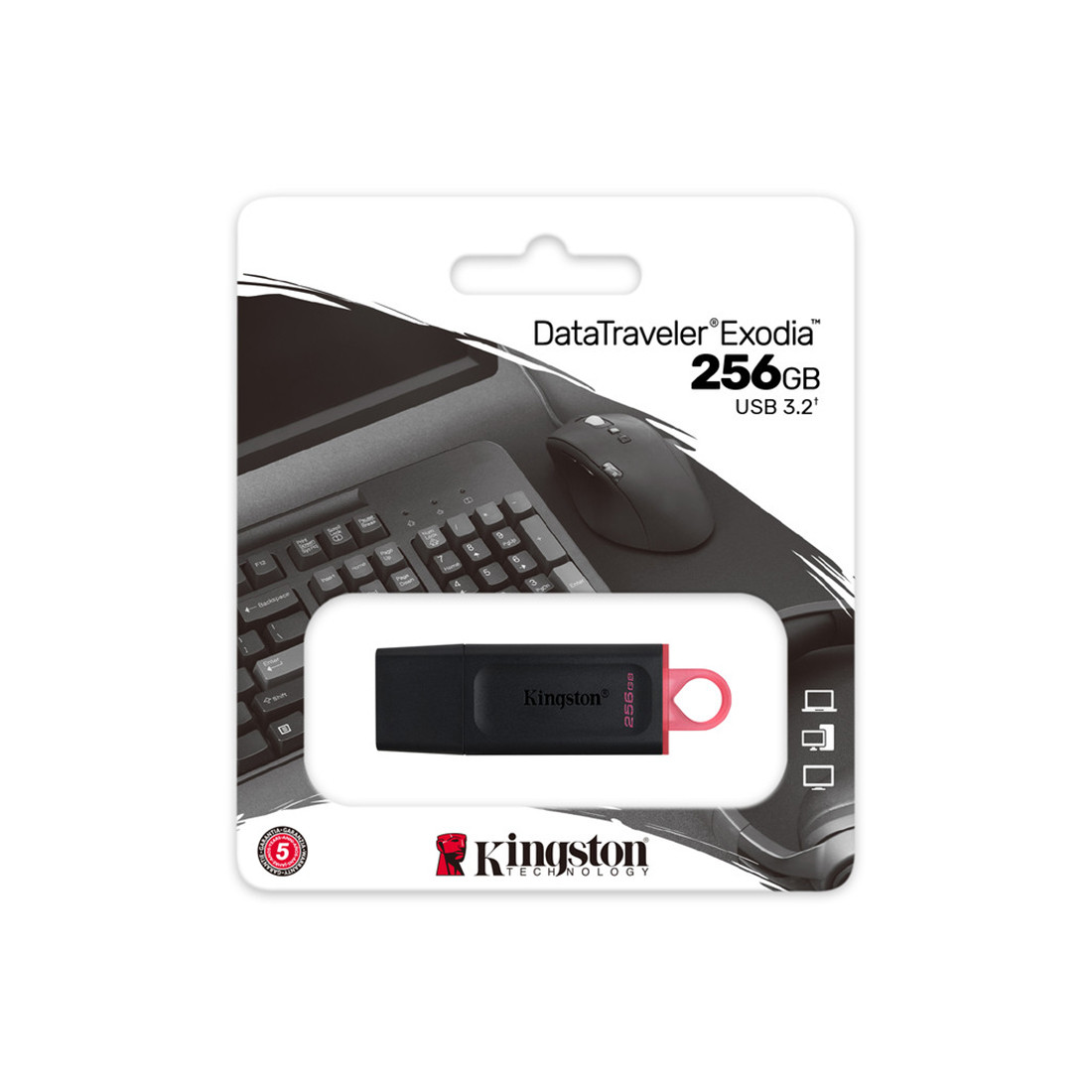 USB-накопитель Kingston DTX/256GB 256GB Чёрный, фото 1