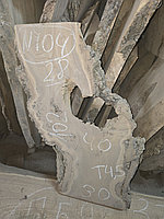 Слэб капового карагача