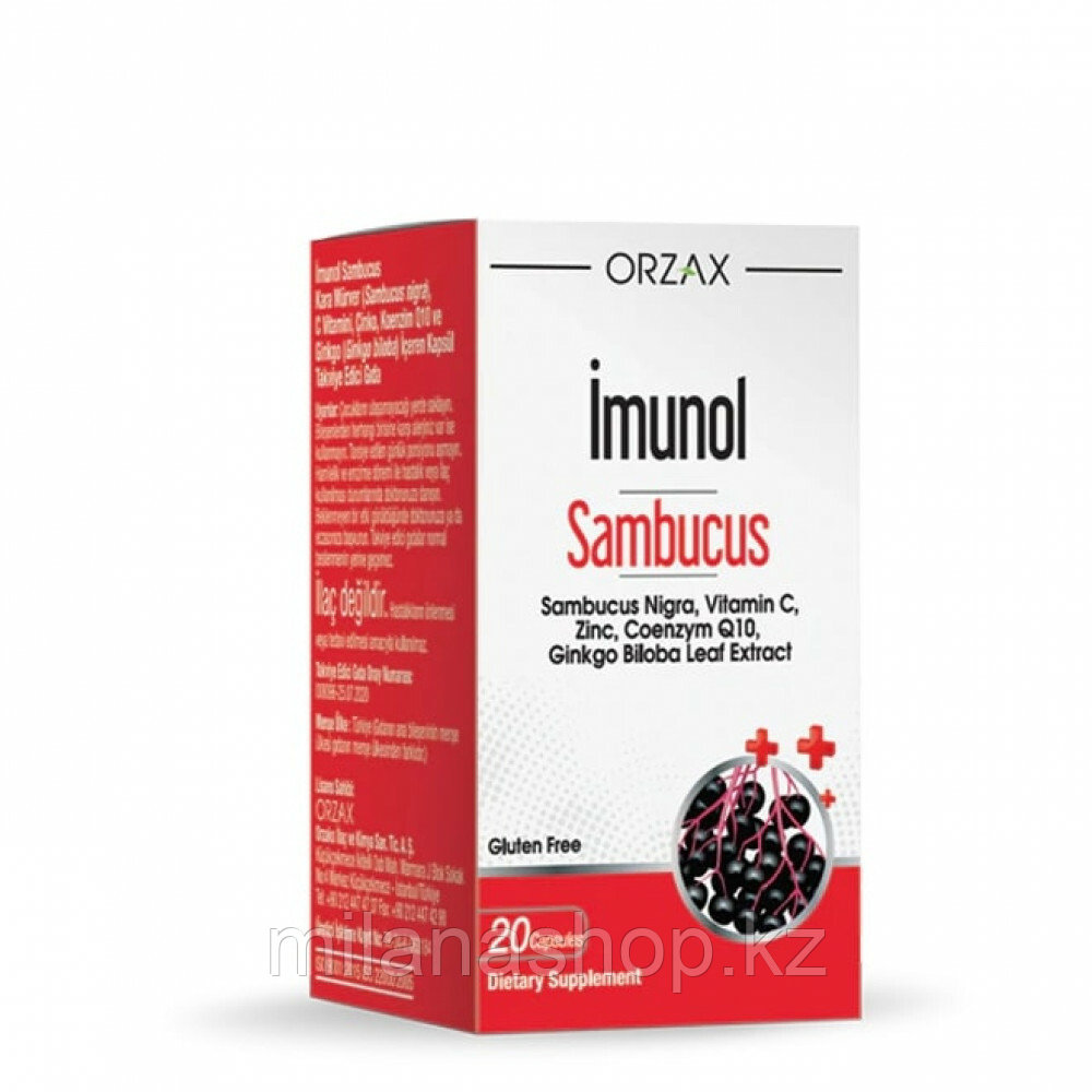 ORZAX Imunol Sambucus ( Капсулы для укрепления иммунной системы у детей с цинком и витамином С ) 20 капсул, фото 1