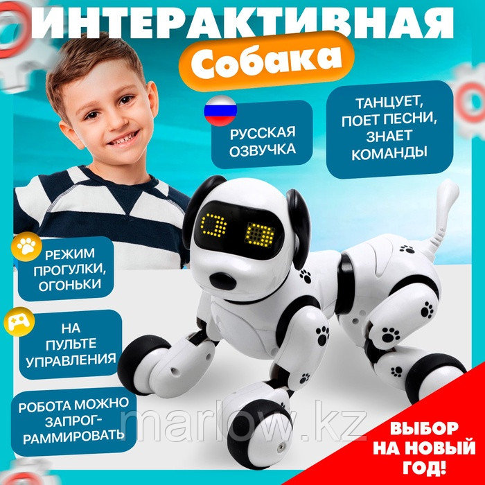 Робот собака «Пультовод» ZHORYA, программируемый, на пульте управления, интерактивный: свет, звук, т ...
