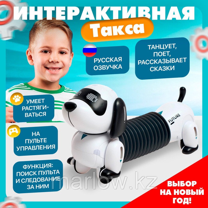 Робот собака «Такса» ZHORYA, на пульте управления, интерактивный: звук, свет, на аккумуляторе, на ру ...