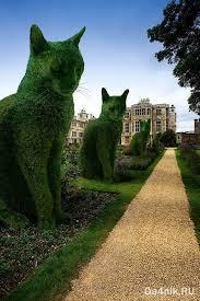 Искусственный газон с ворсом 20 мм. Площадь 20кв.м.