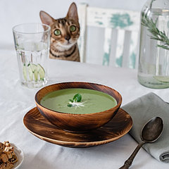 Набор деревянных тарелок Magistro, 2 шт: 20×2,5 см, 16×6 см, из цельного кедра, обожжённые