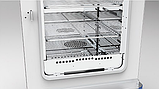 Сушильный шкаф с принудительной циркуляцией воздуха, фото 3
